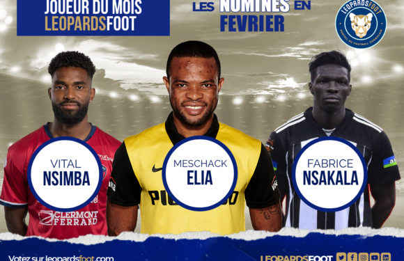 Votez pour le Léopard du mois de février!
