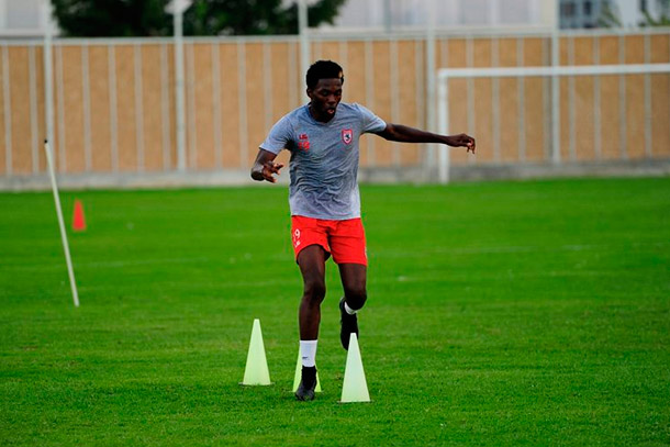zola-training