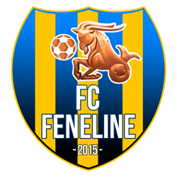 FC Feneline